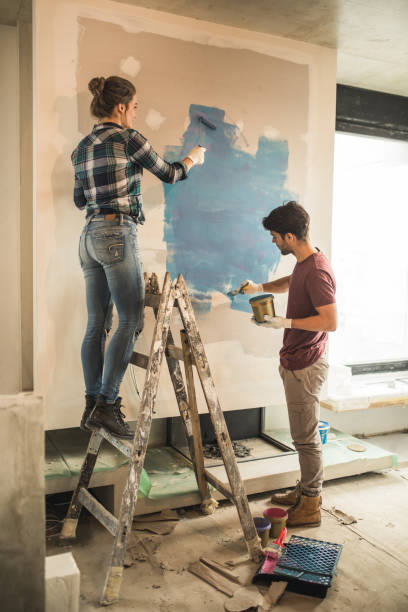 Best Ceiling Drywall Installation  in Hoyt Lakes, MN